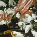 Virtual Event – Like herding cats: Coordinating evaluation across multiple areas